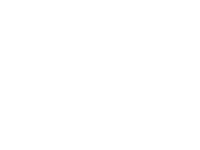 arpi-ogo-color blanco